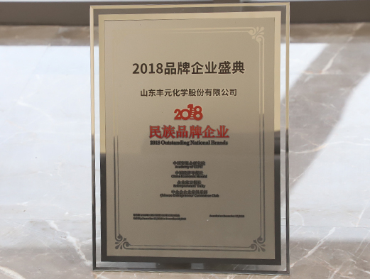 2018民族品牌企業(yè)