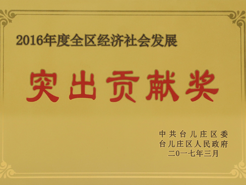 臺兒莊區(qū)經(jīng)濟(jì)社會(huì)發(fā)展突出貢獻(xiàn)獎(jiǎng)